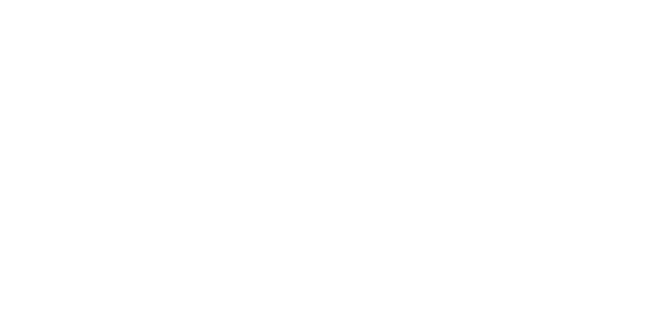 The Flourishing Network